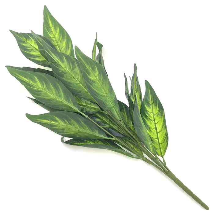 [HF0345] Planta de hojas verdes, difembachia