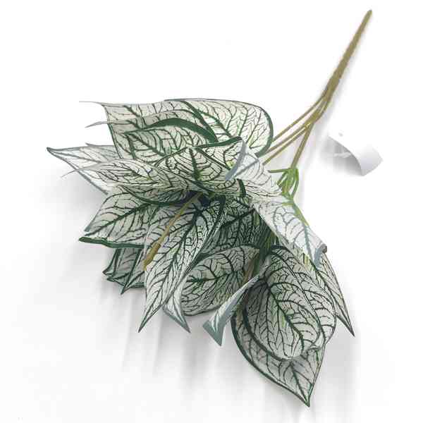 [HF0346] Planta de hojas verdes, escudo persa