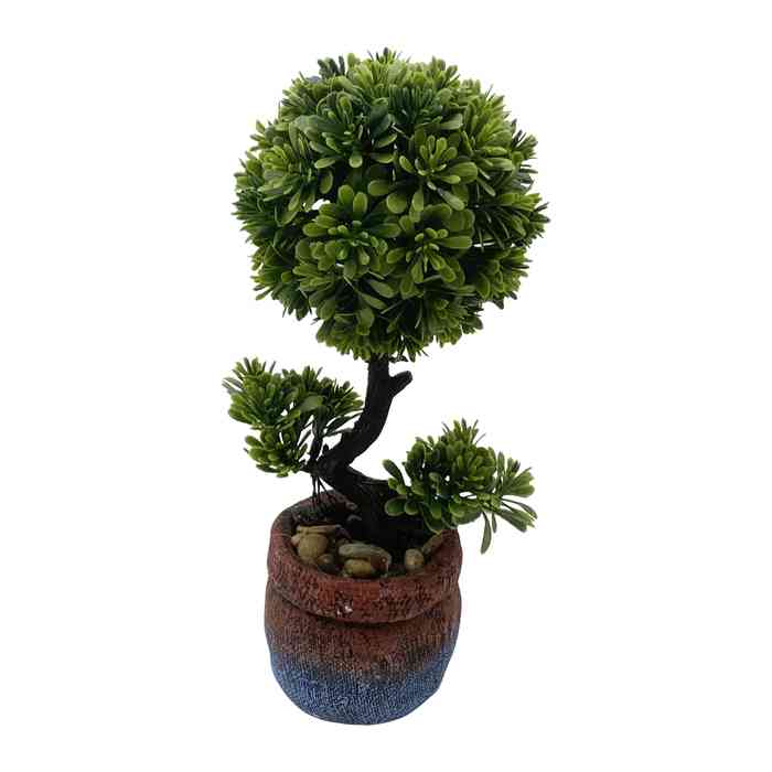 Planta bonsai, en maceta de cemento