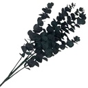 Planta de hojas verdes, eucaliptus, PACK x2