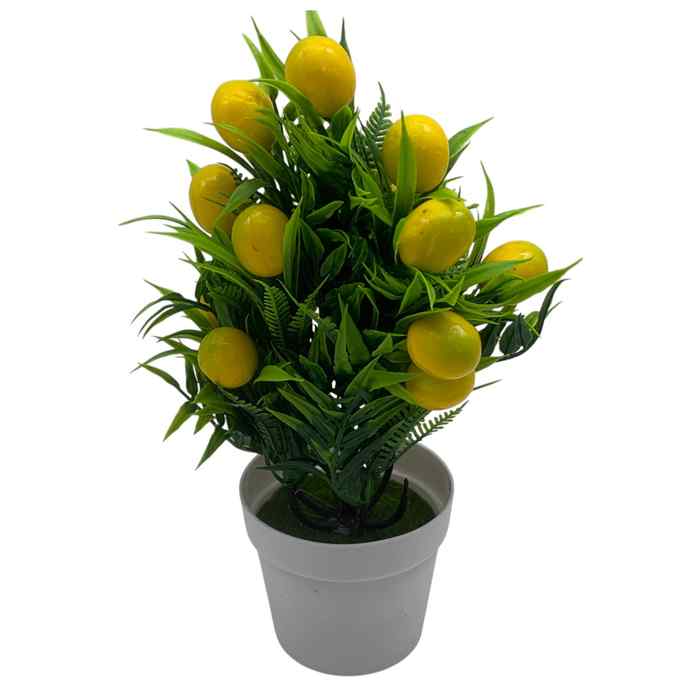 [HF0378] Planta con limones, en maceta plástico