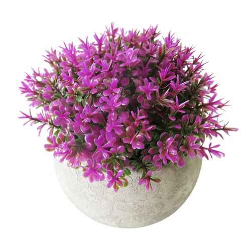 [HF0393] Planta miniatura en maceta, varios colores