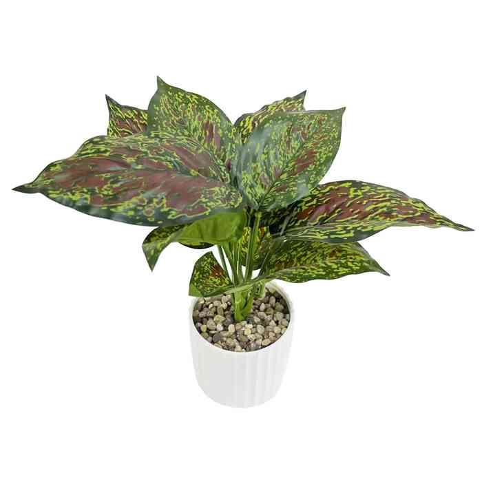 [HF0398] Planta de hojas verdes, en maceta