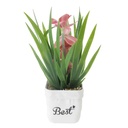 Planta con flores, con maceta, varios colores