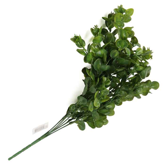 [HF0417] Planta de hojas verdes, oreja de ratón PACKx2