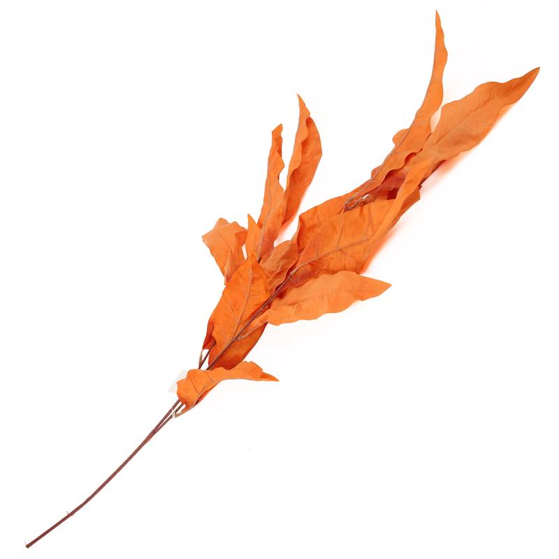 [HF0419] Planta de hojas secas