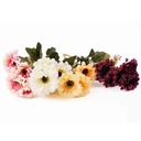 Ramo de 5 gerberas, PACKx2 varios colores