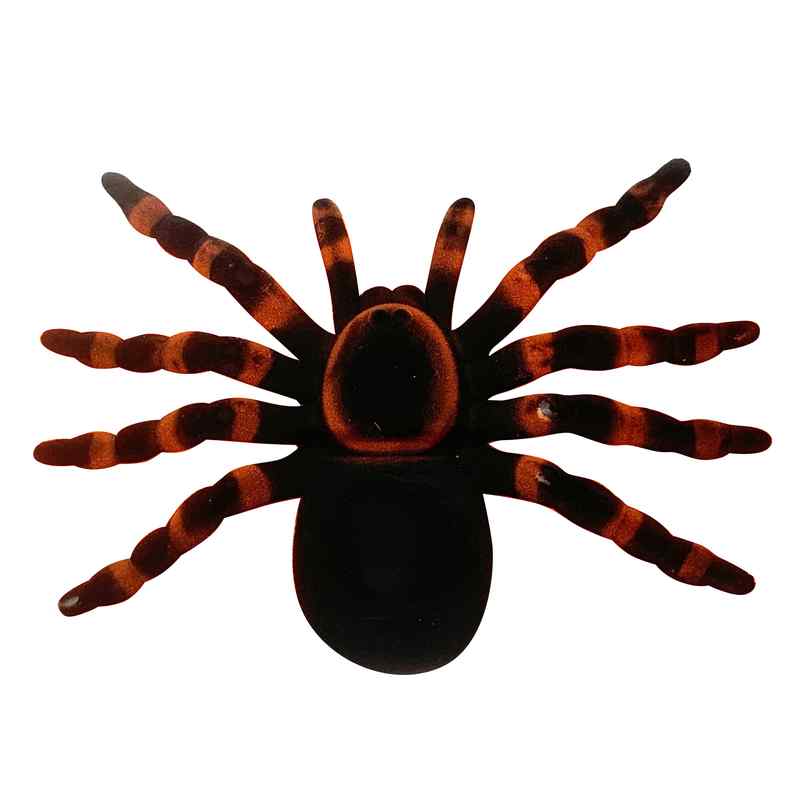 Animales araña de plástico en cartón