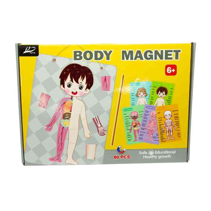 Puzzle magnético, 80 piezas, cuerpo humano, en caja