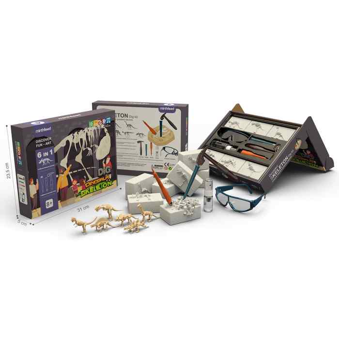 [JU7443] Dinosaurio fósiles, x6, con accesorios de arqueología, en caja