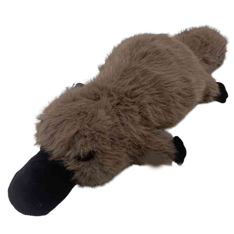 [JU8262] Peluche ornitorrinco