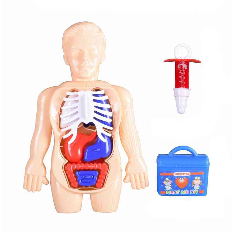 [JU8385] Set de doctor, muñeco educativo cuerpo humano con órganos removibles