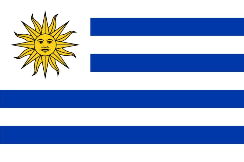 [G0409A] Bandera común 90x150, URUGUAY