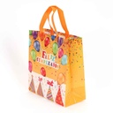 Bolsa de regalo mediana de PVC, PACK x12, varios diseños