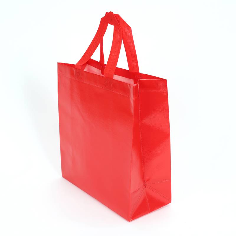 [G2877] Bolsa de regalo mediana PVC, PACK x12, varios colores