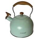 Caldera de acero inoxidable 2.5L, mango de plástico, en caja, varios colores