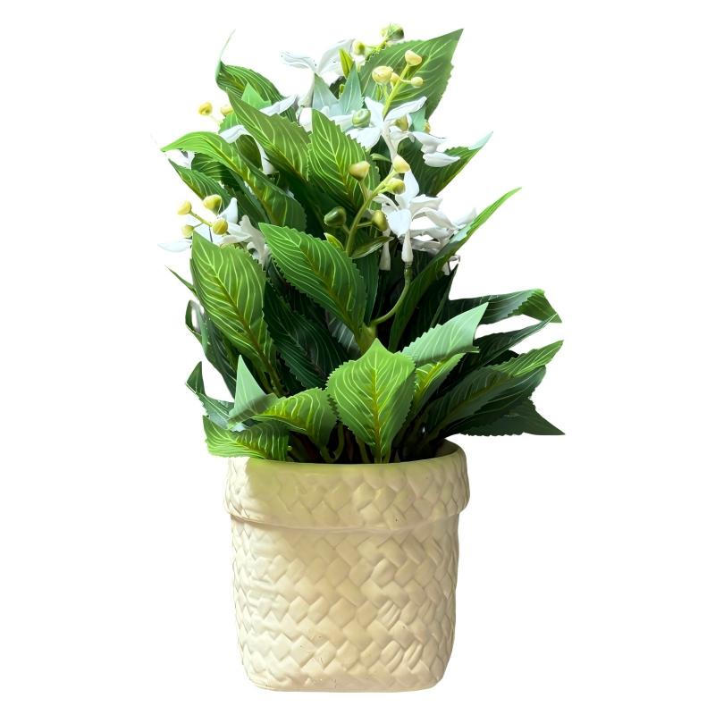Planta con flores de jazmín de leche, en maceta de plástico