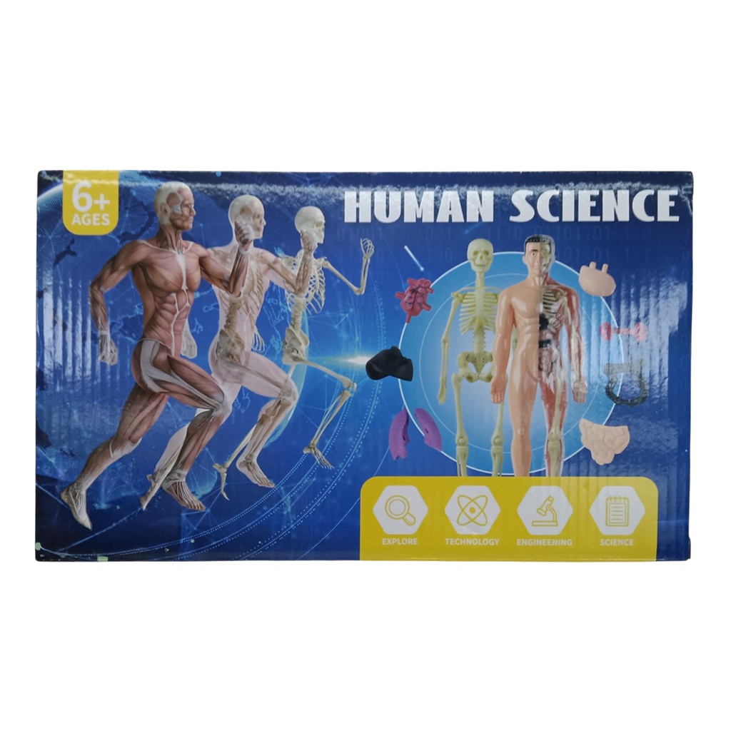 [JU8737] Juego de ciencia cuerpo humano, en caja